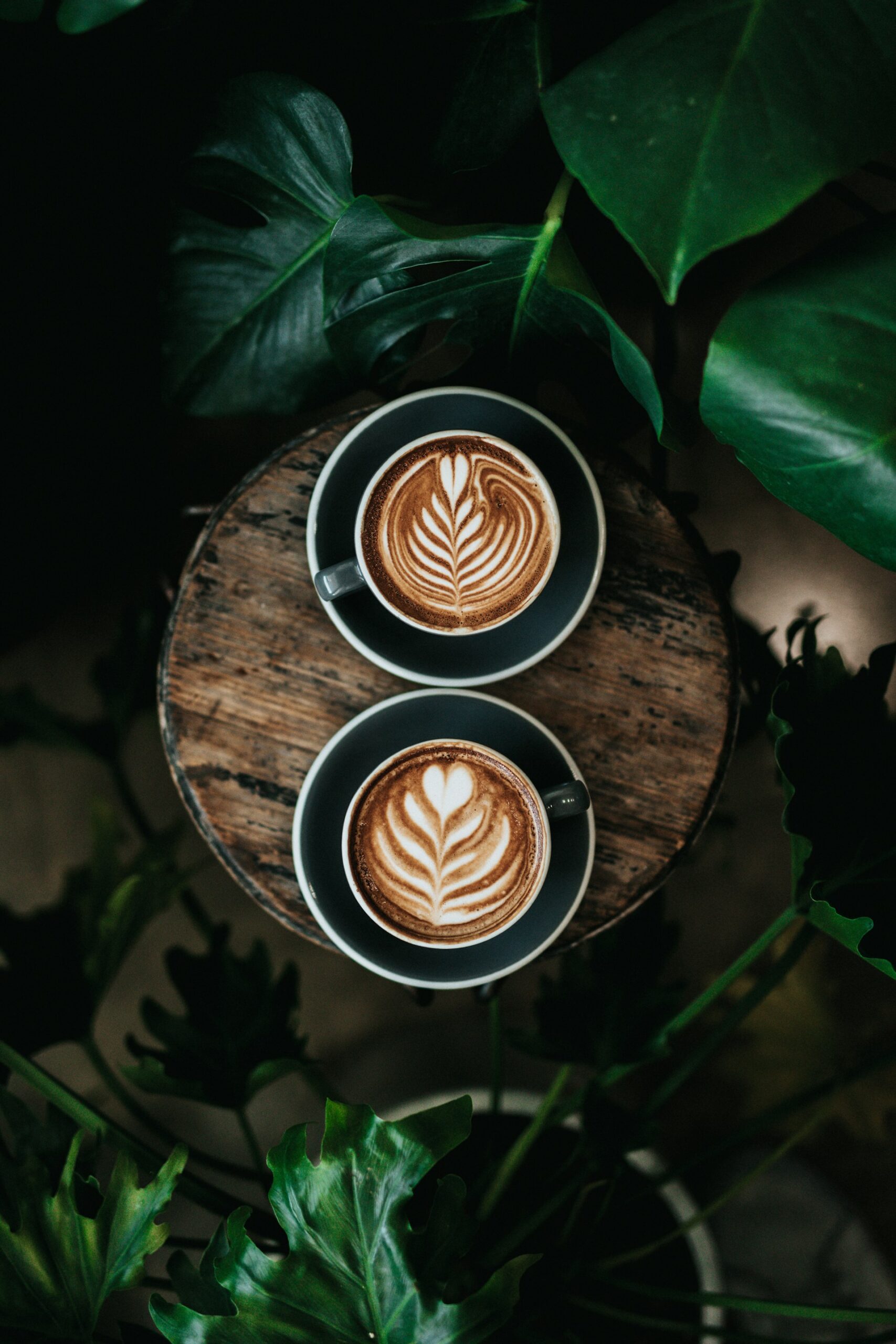 Bedre kaffeoplevelser på arbejdspladsen med Blackbird Coffee